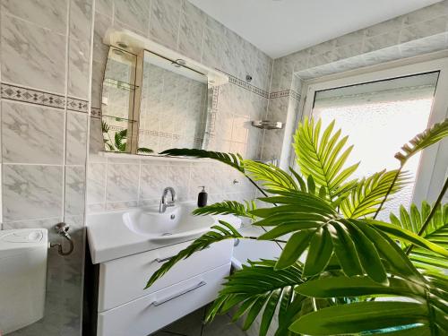Un baño con lavabo, espejo y una planta. en Living dream in Halle, en Halle an der Saale