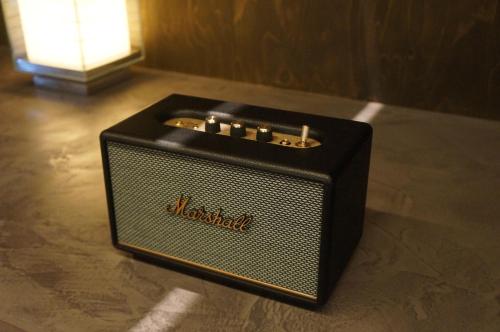 Luna House KIYOMIZU清水一棟貸し-Marshall-Netflix-2Meters ProjectionSCRN-GardenViewBathtub