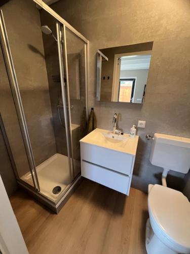 a bathroom with a shower and a sink and a toilet at B&B de Bosrand in Emmen