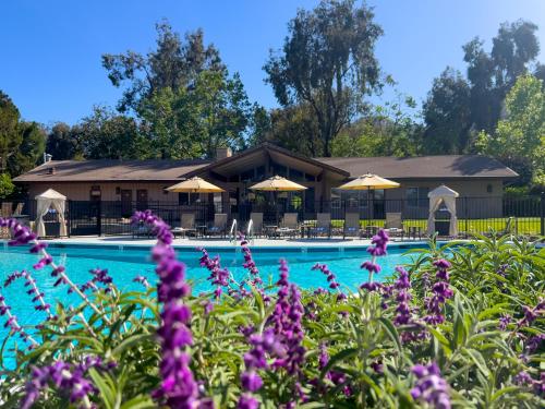 a hotel with purple flowers in front of a pool at Temecula Creek Inn in Temecula