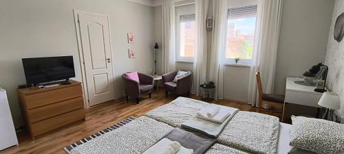 TV a/nebo společenská místnost v ubytování City Inn Szigetvar