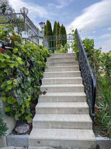 a staircase leading up to a house with plants at Weinloft Gamlitz in Gamlitz