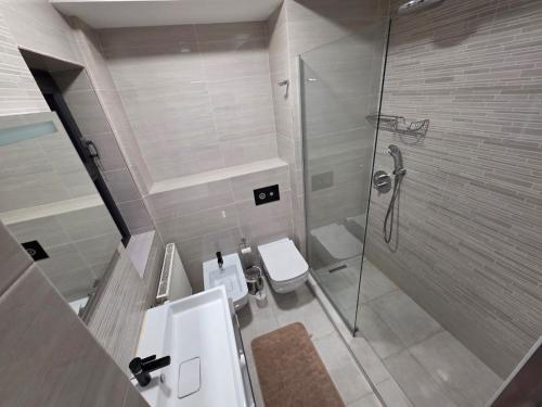 a bathroom with a shower and a toilet and a sink at Laura's Residence Luxury in Craiova