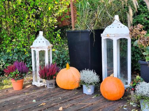 a group of pumpkins and lanterns on a wooden deck at Agroturystyka Lesieniec - Magdalena i Maciej Mochoń in Syców