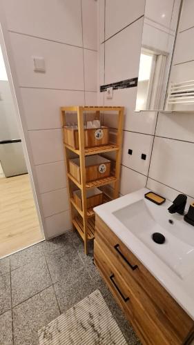 a bathroom with a sink and a shelf at Deichliebe 3 - gemütlich, zentral und modern- Inklusive privater Stellplatz im Parkhaus 2min zu Fuß entfernt in Bremerhaven