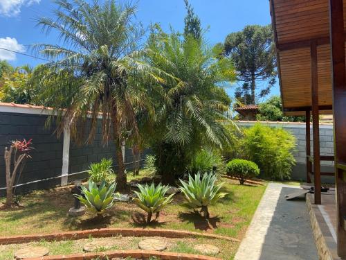 a garden with palm trees and plants in front of a house at Casa de Campo no Circuito das Águas in Socorro