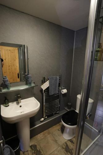 a bathroom with a sink and a toilet and a shower at Lynton Lodge Studios in Keswick