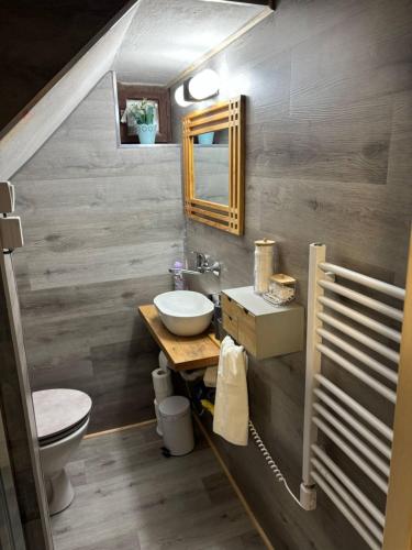 a bathroom with a sink and a toilet at Chata Sovička in Kokava na Rimavica