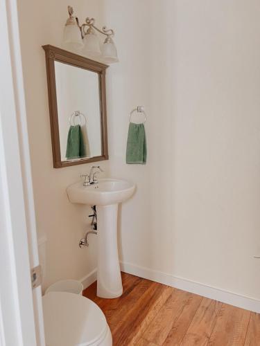 a bathroom with a sink and a mirror at Centrically Located Hillsboro Home in Hillsboro