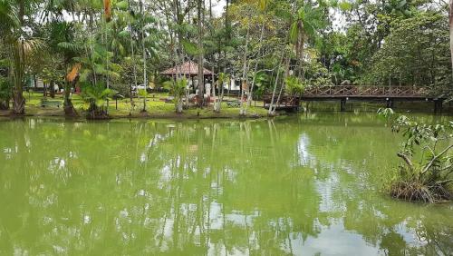 Φυσικό τοπίο κοντά σε αυτή η βίλα