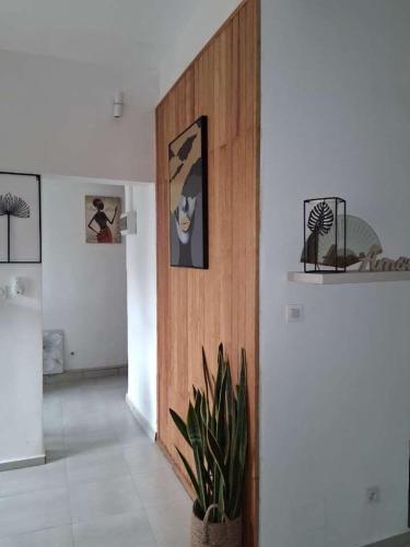 Fotografie z fotogalerie ubytování Nonolodge v destinaci Pamandzi