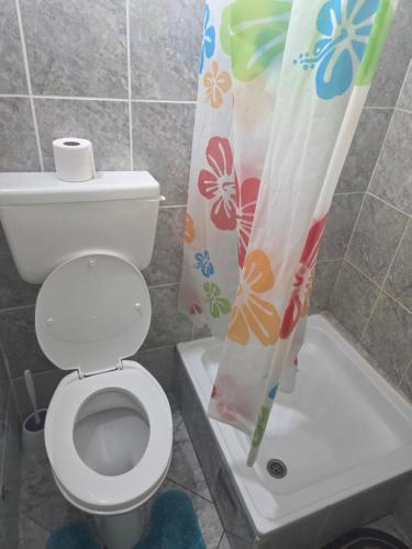 a bathroom with a toilet and a shower curtain at Zen apartman 1 in Zrenjanin