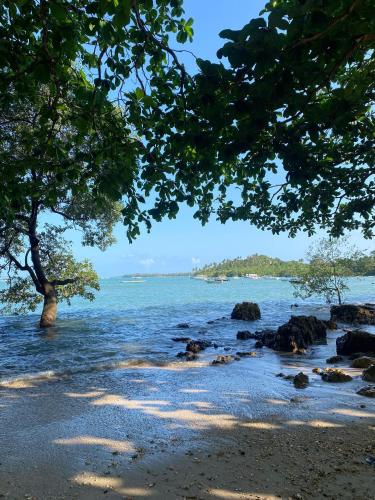 a beach with a tree and water and rocks at Boipeba Stay in Ilha de Boipeba