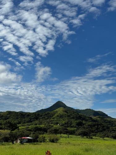 ホテルの近くで見られる自然の景観