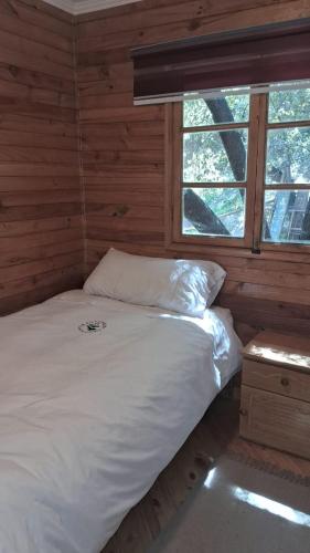 a bed in a log cabin with a window at Santuario del Río in San José de Maipo