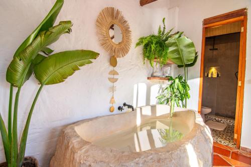 ein Badezimmer mit einem Waschbecken mit Pflanzen an der Wand in der Unterkunft Exclusiva cabaña con tina en piedra, fogata y cine in Villa de Leyva