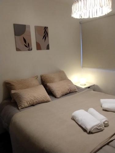 une chambre avec un lit avec deux oreillers dessus dans l'établissement Departamento en el Centro de Bariloche con Hermosa Vista solo con abono de SEÑA, à San Carlos de Bariloche