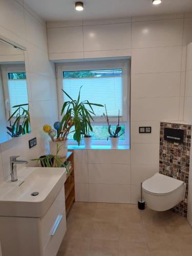 a bathroom with a toilet and a sink and plants at Ferienhaus Ottilie in Gladenbach