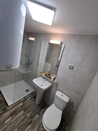 a bathroom with a toilet and a sink and a shower at Cãbãnuţe - Lac Maleia in Dobreşti