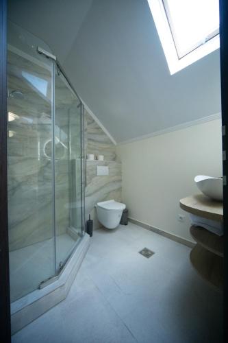 a bathroom with a glass shower and a toilet at Pensiunea Rezkakas in Balvanyos