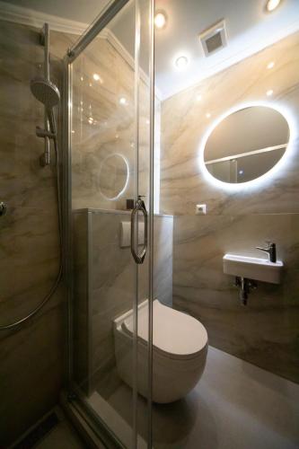 a bathroom with a shower and a toilet and a sink at Pensiunea Rezkakas in Balvanyos