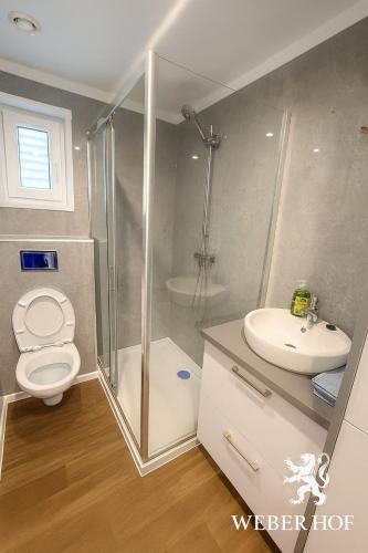 a bathroom with a shower and a toilet and a sink at Weber Hof in Adorf
