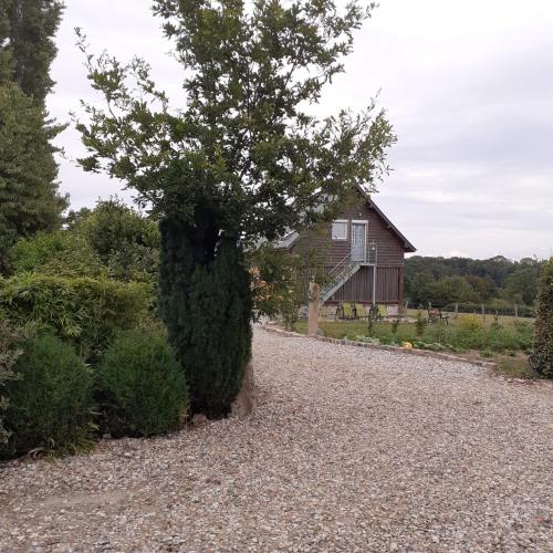 a tree on a gravel road in front of a house at L hirondelle in Beaumont-le-Hareng