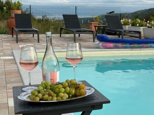 a plate of grapes and wine glasses next to a swimming pool at Villa Desideria in Bribir