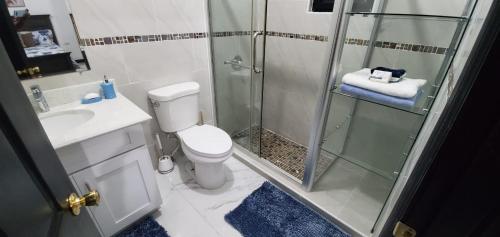 a bathroom with a shower and a toilet and a sink at Elegant Escape in Kingston