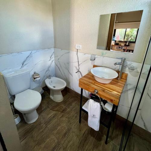 a bathroom with a toilet and a sink and a mirror at Olivos de Monte in San Miguel del Monte