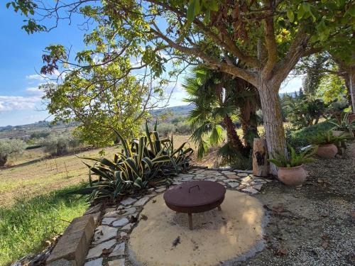 a bench sitting on a stone slab under a tree at Donna Caterina House, autentica oasi di confort e relax nel cuore della Sicilia in Pietraperzia