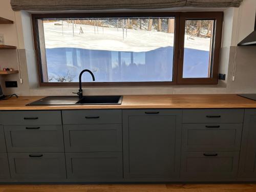 Kuchyň nebo kuchyňský kout v ubytování Chata Rebelka