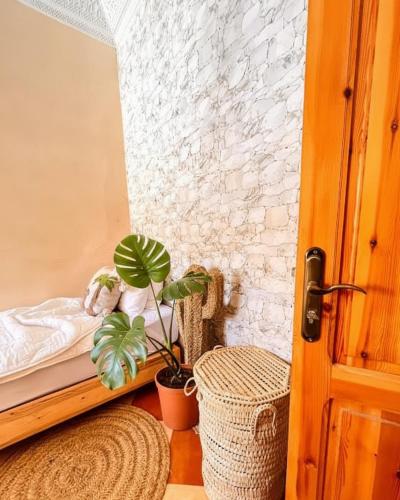 Postel nebo postele na pokoji v ubytování Anker Surf House