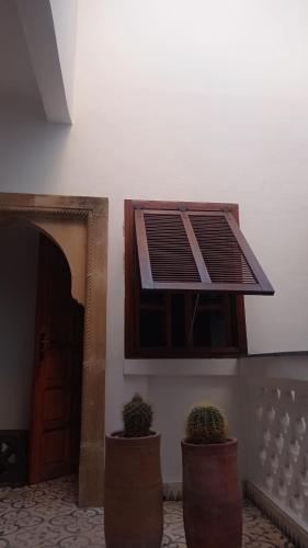 a vent in a wall with two potted plants at Riad Dar Badiaa in Sale