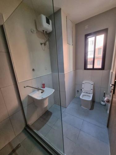 a bathroom with a shower and a sink and a toilet at 1 Bedroom Apt Sabolak Suite Haven in Ikate