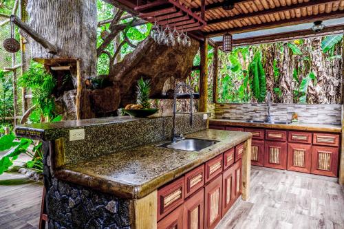 an outdoor kitchen with a sink and a tree at Casa Aviari in Cabo Matapalo