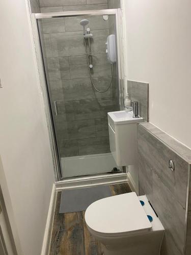 a small bathroom with a toilet and a shower at Studio Luxe on Chudleigh in London