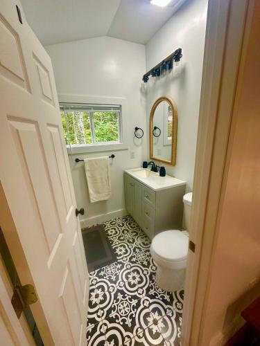 a bathroom with a toilet and a sink and a mirror at Beary Cozy in Fairview