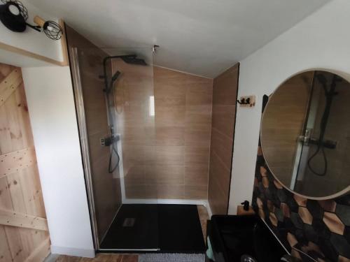 a bathroom with a shower with a large mirror at Le Gîte d'Amoé in Mélamare