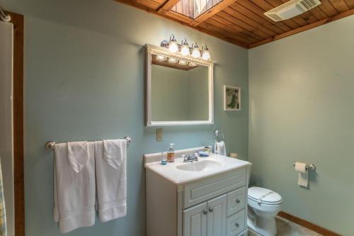 a bathroom with a sink and a mirror and a toilet at Grandview Getaway in Boone