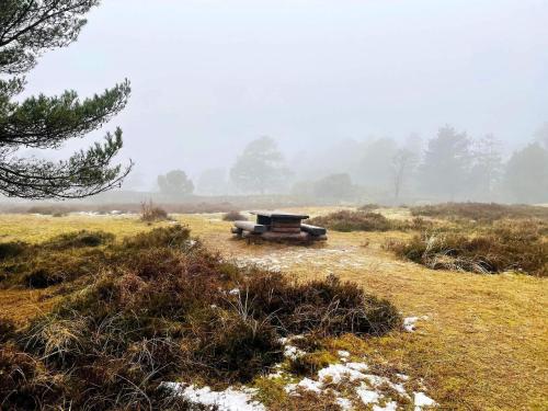 a bench sitting in a field in a foggy field at Seaside Escape in Praesto - By Traum Ferienwohnungen in Mosebølle