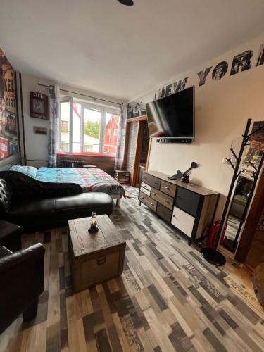 un soggiorno con letto e TV di Könighaus Apartmán a Kynšperk nad Ohří