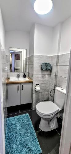 a bathroom with a toilet and a sink at Mountain View Apartament Termy Chochołowskie 5 min in Suchá Hora