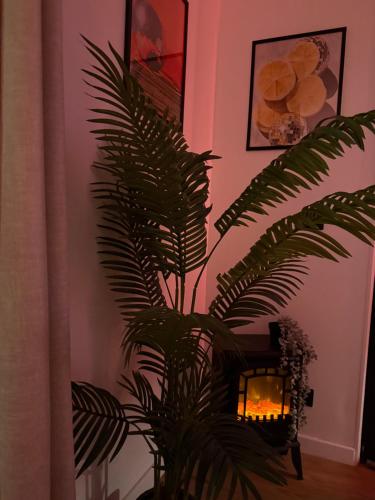 a green plant in a room with a candle at Appartement jacuzzi d'exception - proche Paris in Drancy