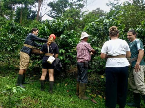 a group of people standing around in a forest at Starfruit House in Chachagua