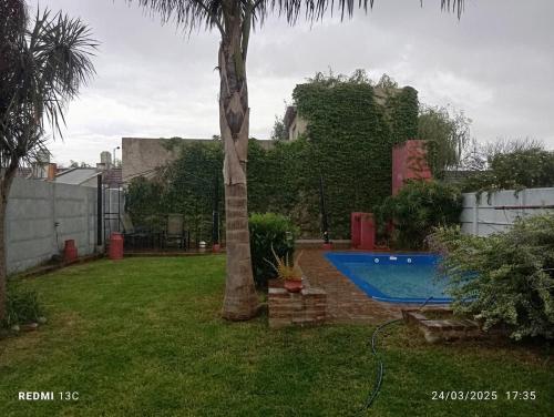 einen Hof mit einer Palme und einem Pool in der Unterkunft Casa Barrio Los Sauces in Chascomús
