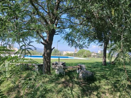 a picnic table under a tree in a park at cabaña Mirador in Bialet Massé