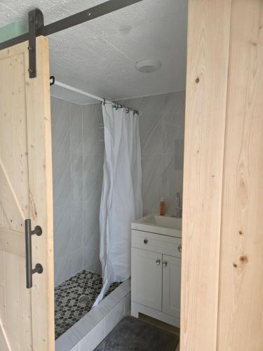 un bagno con tenda da doccia e lavandino di Bed & Shower Stop a East End