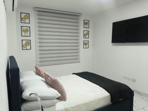 a bedroom with a bed and a flat screen tv at Hermoso Apartamento ven de trabajo o turismo te va a encantar in Panama City