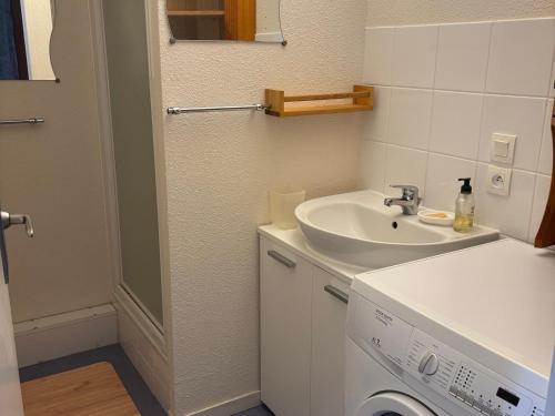Un baño con lavabo y lavadora. en L'INTEMPOREL RESIDENCE LES HERMINES APPARTEMENT POUR 8 PERSONNES - FR-1-814-148, en Super Besse